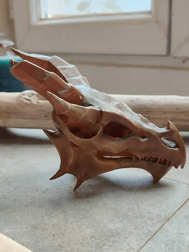 Crâne de dragon 
