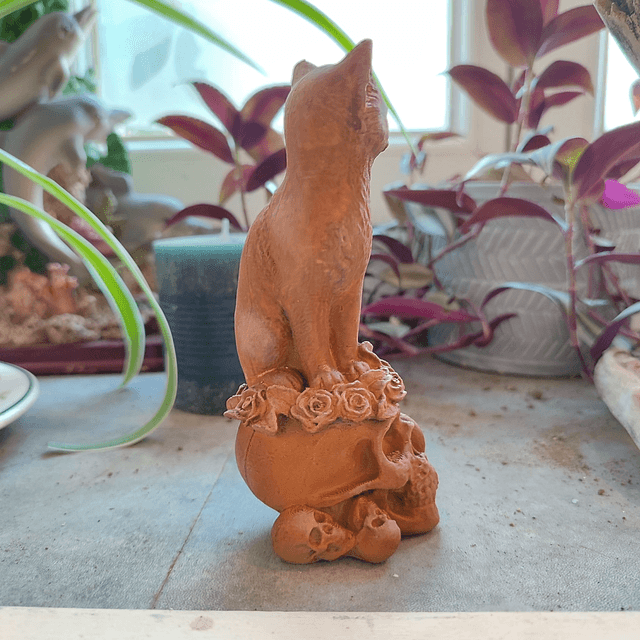 Chat du Crépuscule