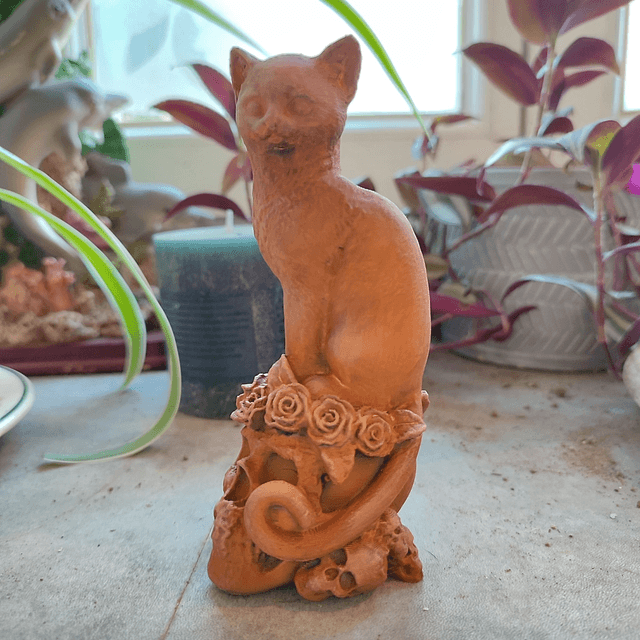 Chat du Crépuscule