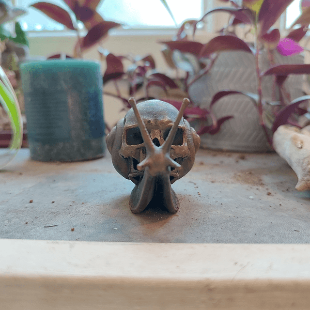 L’Escargot du Temps