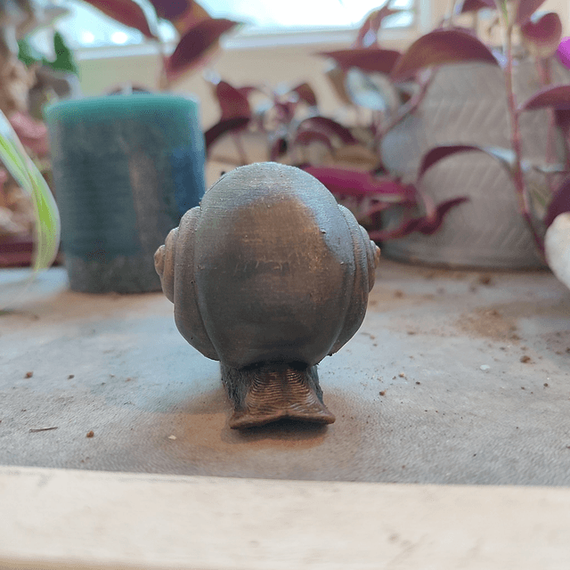 L’Escargot du Temps
