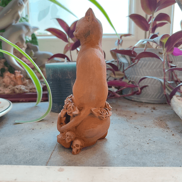Chat du Crépuscule