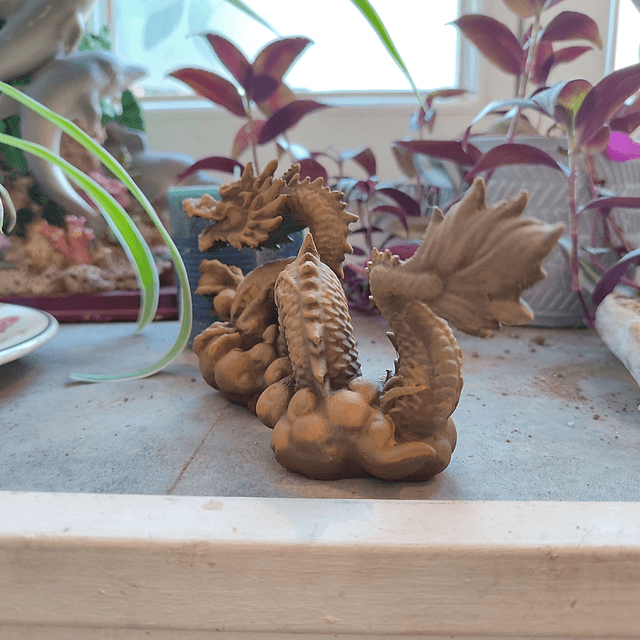 Dragon des Nuées