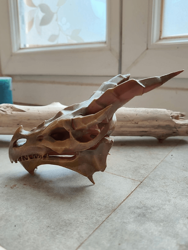 Crâne de dragon 