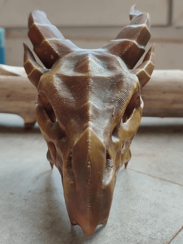 Crâne de dragon 