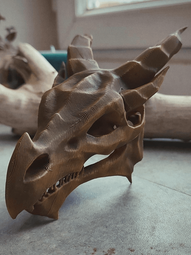 Crâne de dragon 
